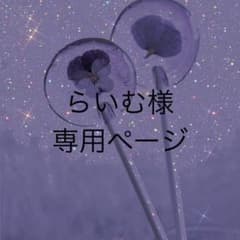 らいむ様専用ページのサムネイル