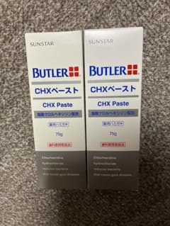 【新品未使用】SUNSTAR BUTLER CHXペースト
