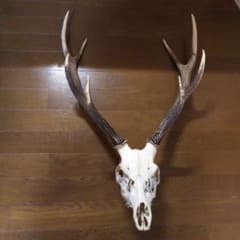 m72871072011_1.jpg?1746173871