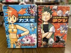開封品欠品有り ポケモンカードゲーム ハナダジム・ニビシティジム 旧