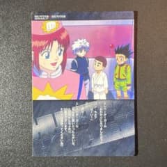 hunter×hunter ハンターハンター　カードダスマスターズ no.18 HUNTER × HUNTER カードダスNo.10〜No.18 【公式通販】