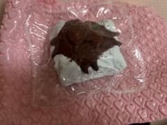 kikisquishy　チョコミントケーキ　とろりバター Mのサムネイル
