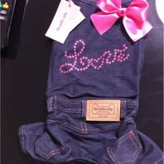 フオーペッツオンリーのサムネイル