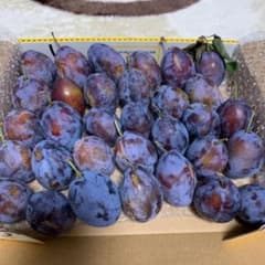 週末限定価格！！信州産生プルーンのサムネイル