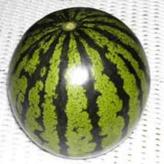 南さん専用のサムネイル