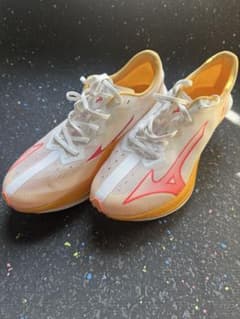 やまだ様専用MIZUNO WAVE DUEL PRO 27cm 一回着用美品のサムネイル