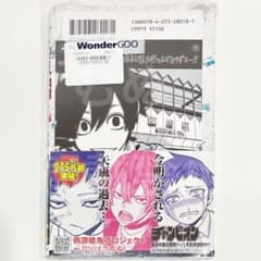 桃源暗鬼　18巻 wondergoo特典　ペーパー　淀川 m72934430822_1.jpg?1768290359
