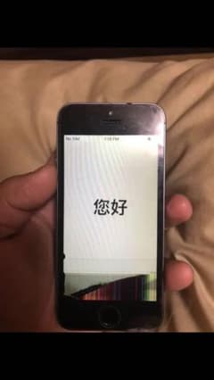 iPhone 5sのサムネイル