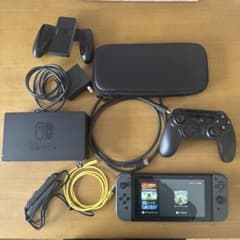 Nintendo Switch 本体 グレー コントローラー 公式ケース付きのサムネイル