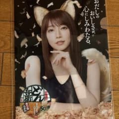 日清のどん兵衛 クリアファイル 吉岡里帆 どんぎつね - メルカリ