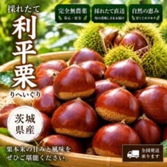 【栗農家直送】茨城県産 利平栗 1kg　2L以上のサムネイル