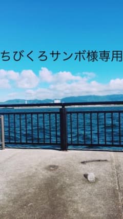 ちびくろサンボ様専用のサムネイル
