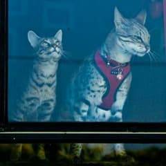 Miina.comさん専用のサムネイル