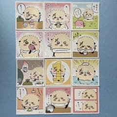 m72974410396_1.jpg?1707010761