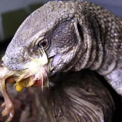 多呂UMR様専用のサムネイル