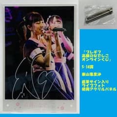高嶺のなでしこ 東山恵里沙 S賞 直筆サイン入り ライブフォト使用