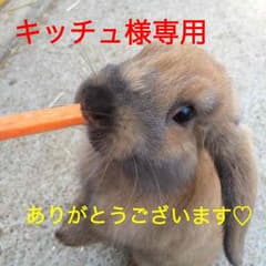 キッチュ様専用のサムネイル