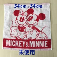 핸드 타월 미키 & 미니