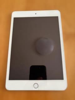 iPad mini 第5世代　Wi-Fi + Cellularのサムネイル