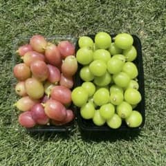 贅沢高級ぶどう2種　訳あり粒セットのサムネイル
