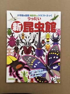 新昆虫館　クラフトぶっく新りったい昆虫館のサムネイル