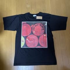 90s THE BLUE HEARTS ザ ブルーハーツ Tシャツ ヴィンテージ - メルカリ