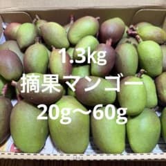 沖縄県産 摘果マンゴー1.3kg/44 - メルカリ