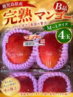 鹿児島県産 完熟マンゴーB品 アーウィン種 M〜Lサイズ 4玉 b - メルカリ