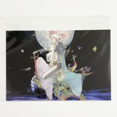 未使用＊ 天野喜孝 ファンタジーアート展 ポストカード 光の戦士 FF