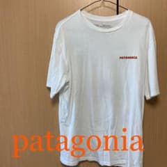 patagonia パタゴニア レアTシャツ‼️のサムネイル