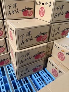 しもつ蔵出しみかん　家庭用　9kg 2L以上のサムネイル