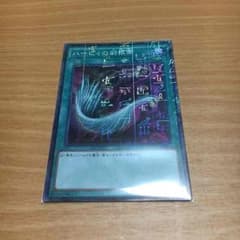 早い者勝ち   ハーピィーの羽箒のサムネイル