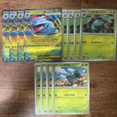 メガフシギバナex フシギソウ フシギダネ 進化ライン 12枚セット