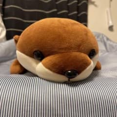 カワウソのぬいぐるみのサムネイル