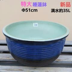 新品 特大 ∅51 陶器 睡蓮鉢 メダカ鉢 難有 ヒスイグリーン 青＆緑 LLB