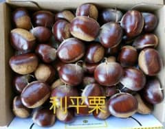 利平栗　熊本県産　無農薬のサムネイル