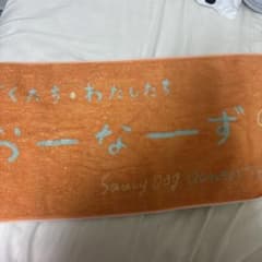 Saucy Dog Owner's Tour 2024 タオルのサムネイル
