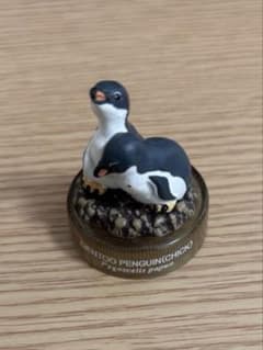 GENTOO PENGUIN CHICK ペンギンのサムネイル