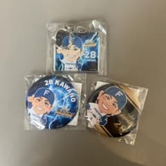北海道日本ハムファイターズ 河野竜生セットのサムネイル