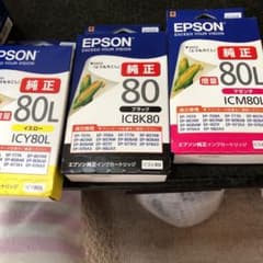 EPSON ICM80Lのサムネイル