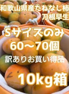 少し柔らかめ訳ありお買い得品！Sサイズのみ和歌山県産たねなし柿10kg箱のサムネイル