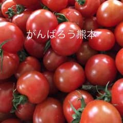 お試し価格♡５月４日５日限定販売！熊本県産ミニトマト1キロのサムネイル