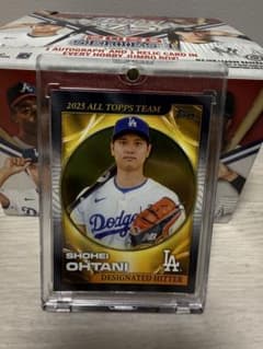 ぽ*ち様 SHOHEI OTANIのサムネイル