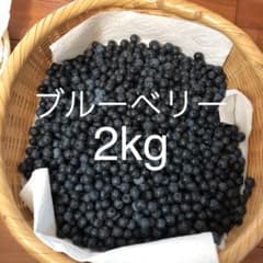 ブルーベリー　2kg  ジャム用　無農薬のサムネイル