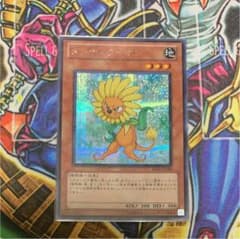 遊戯王 ダンディライオン シクのサムネイル