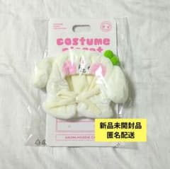 新品未開封品 IVE MINIVE ペンライトカバー ユジン 即購入○ - メルカリ