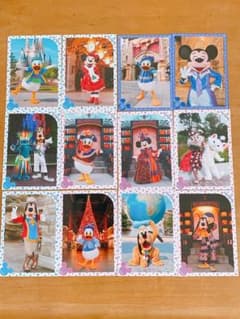 ディズニー スペシャルフォトのサムネイル