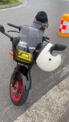 GPX250R2車体のサムネイル