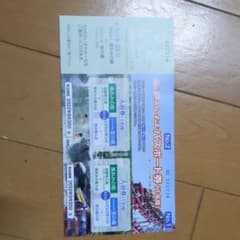 みつさま専用　ナガシマスパーランド パスポート券のサムネイル