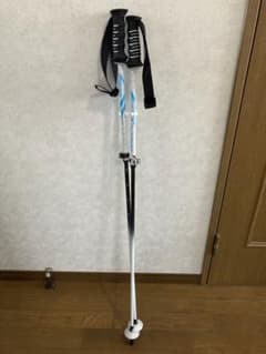 オガサカ スキー　POLE  LC-FS／WHTのサムネイル